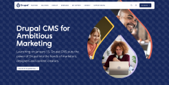 Drupal CMS Website Screenshot